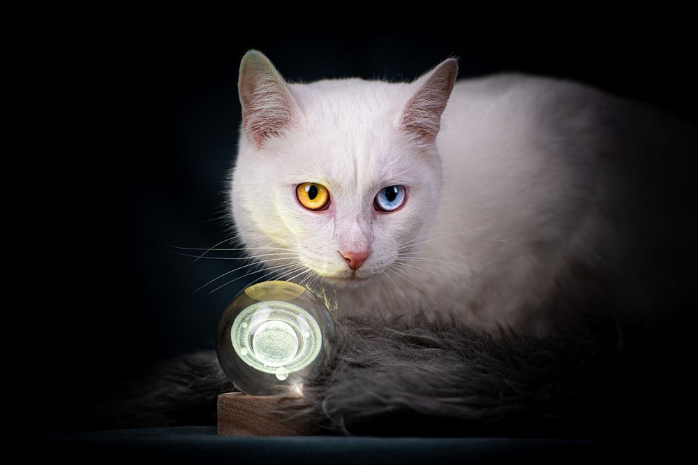 Photograph by Ольга Пачина