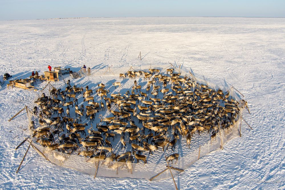 Photograph by Виталий Дворяченко
