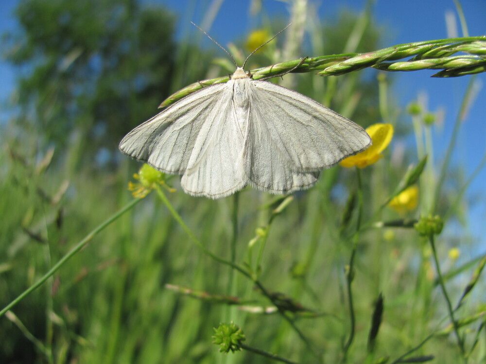 Photograph by Юлия