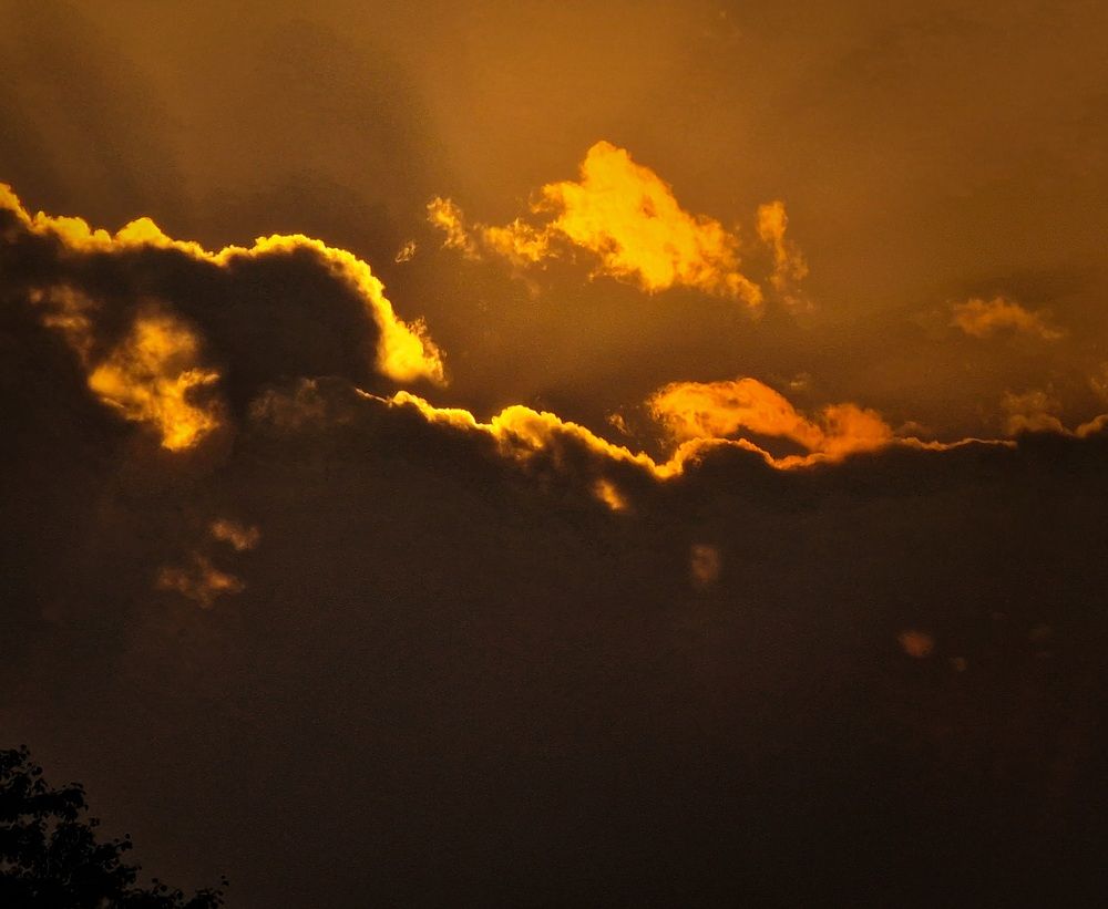 Photograph by Алина Веремеенко