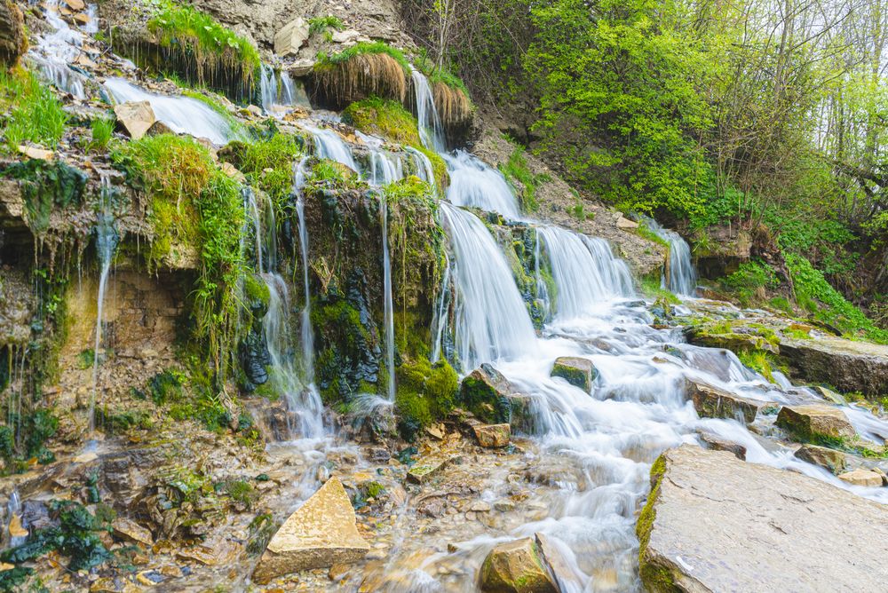 Photograph by Мария Паина