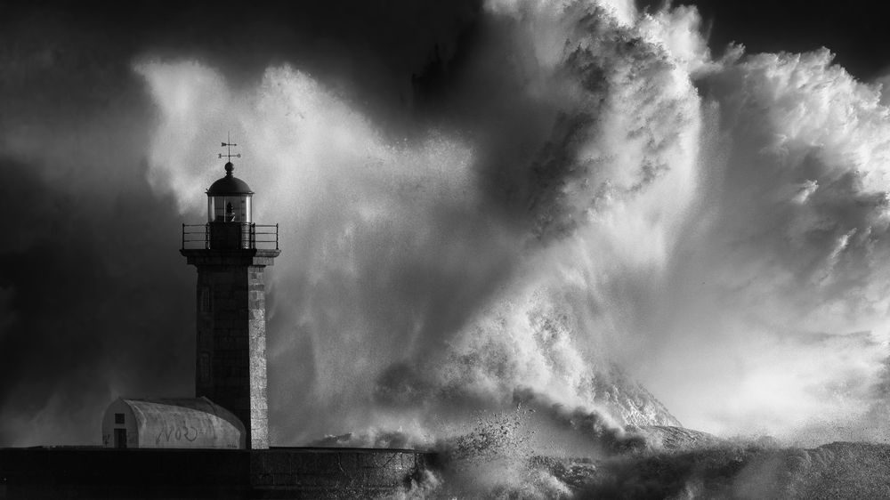 Photograph by Eduardo Teixeira de Sousa