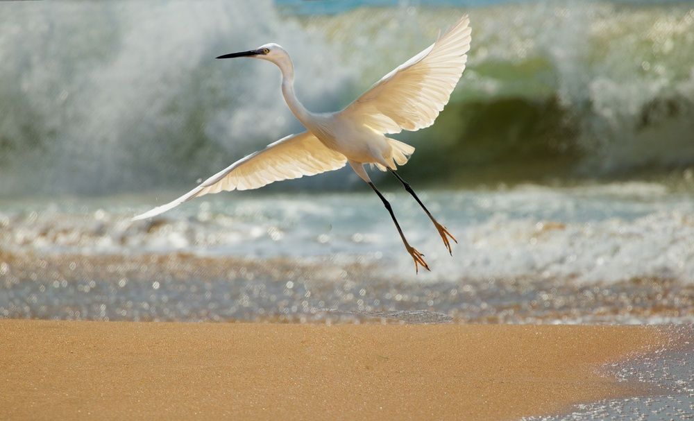 Photograph by Сергей Аллагулов