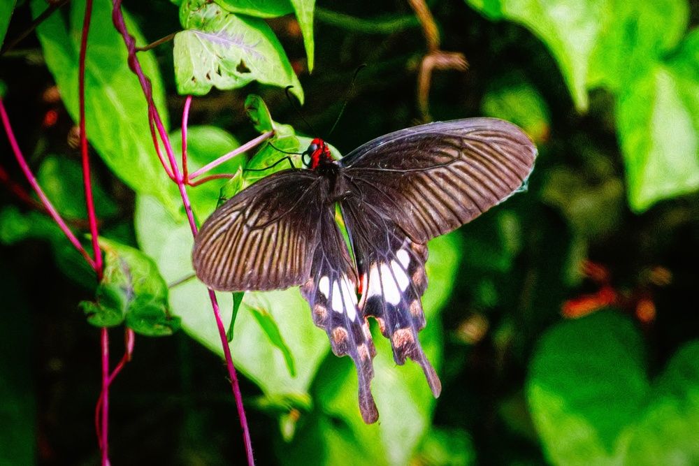 Photograph by Сергей Аллагулов