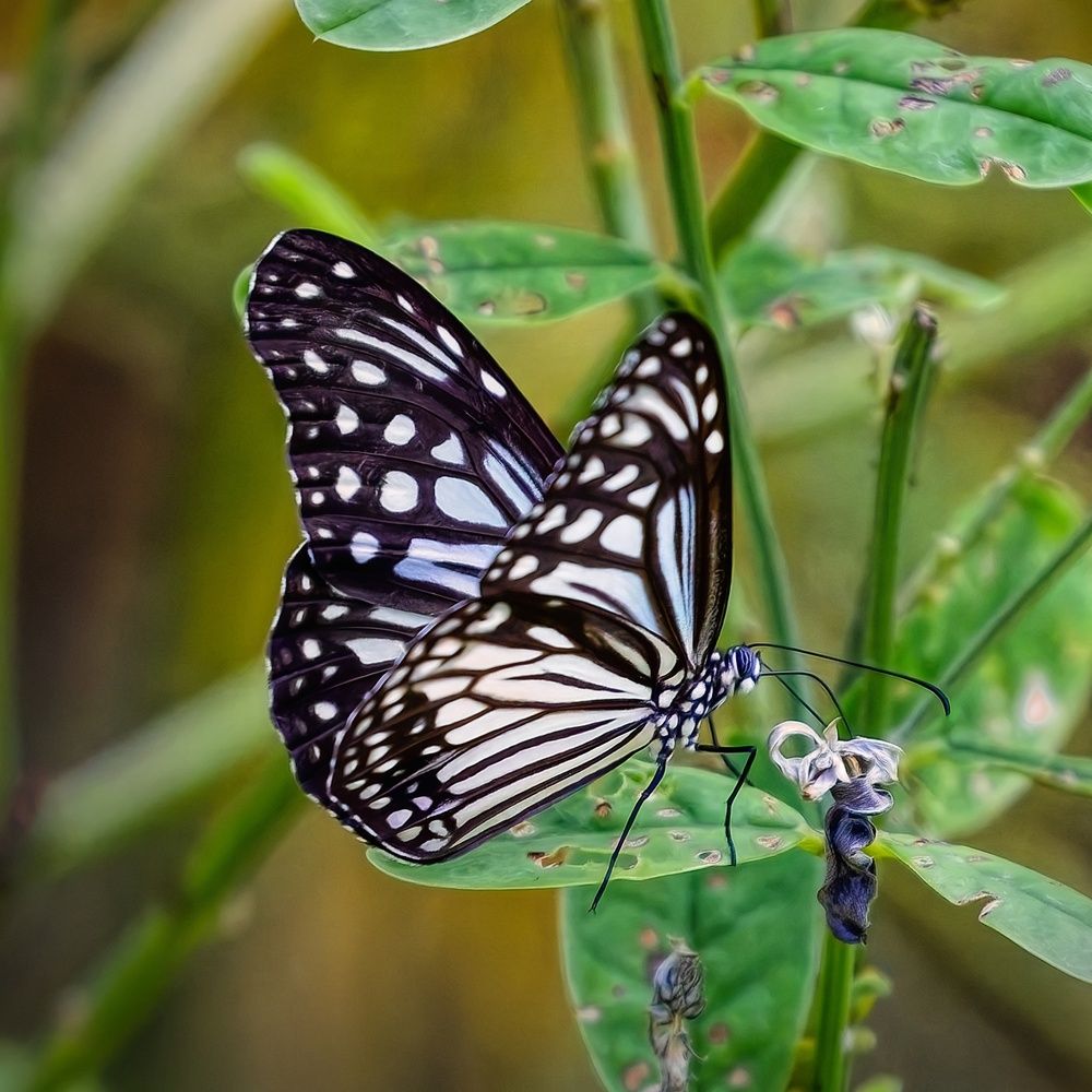 Photograph by Сергей Аллагулов