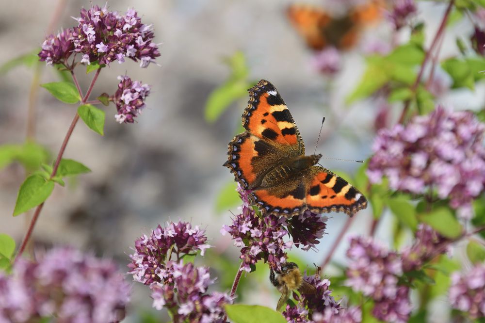 Photograph by Лилия Кондратьева