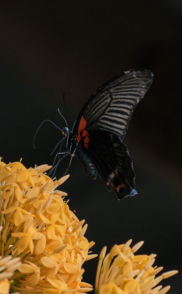 Photograph by Do Thi Thanh Binh