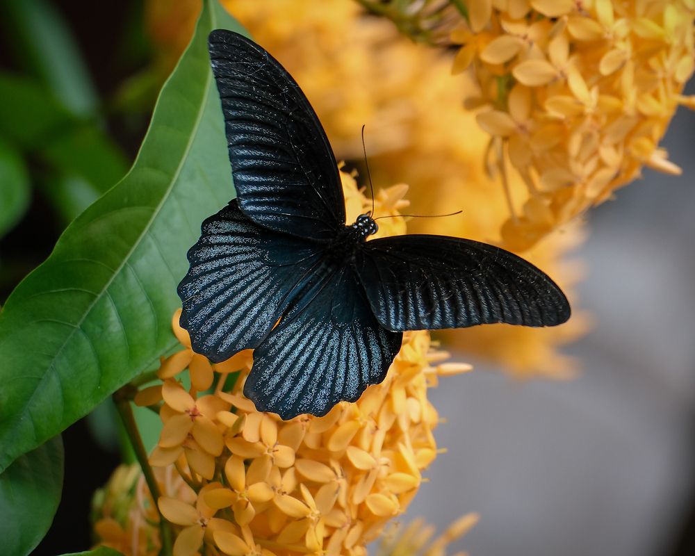 Photograph by Do Thi Thanh Binh