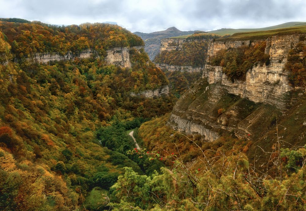 Photograph by Ирина Ульянова