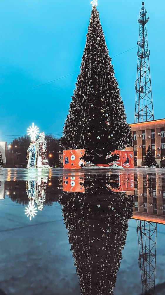 Фотография автора Елизавета Синицына