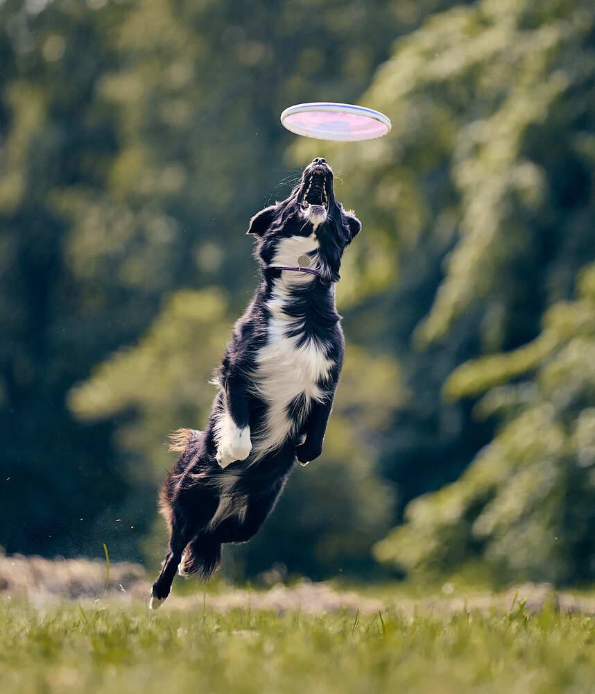 Photograph by Mikhail Khmelevskiy