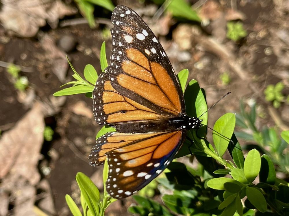 Photograph by Северянка