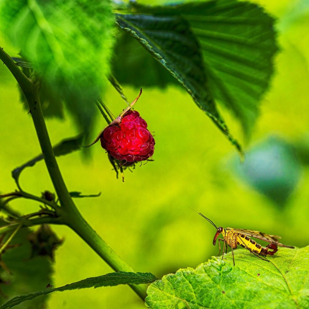 Photograph by Сергей Аллагулов