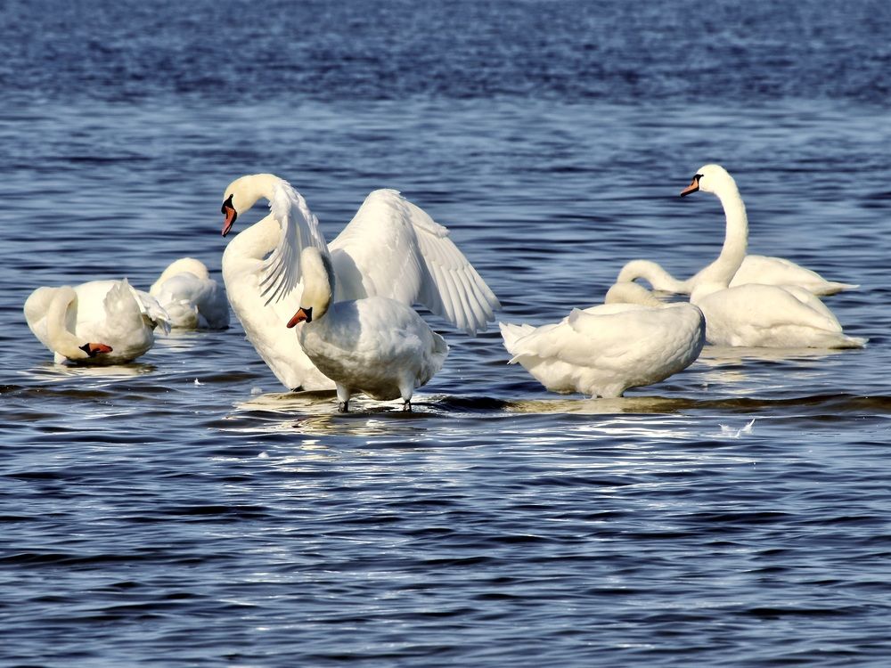 Фотография автора VIZO