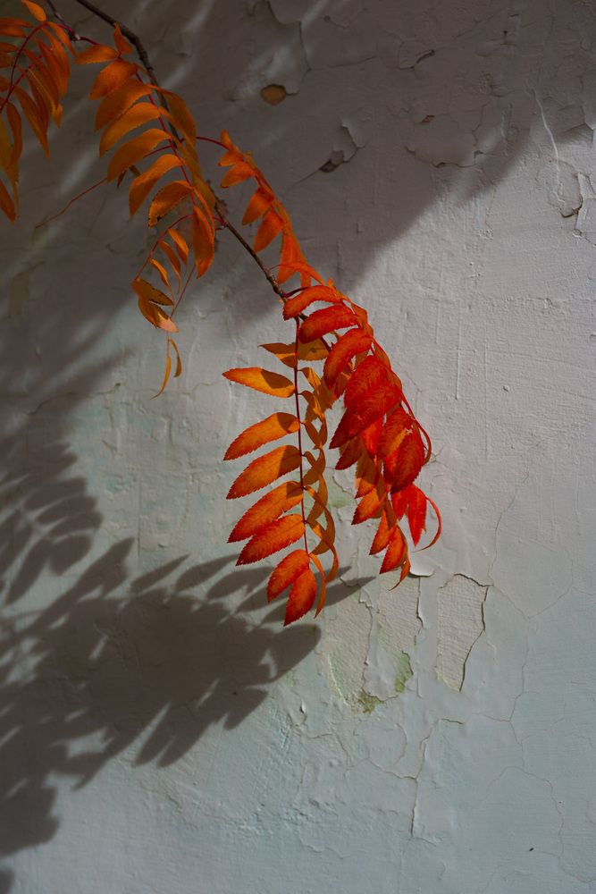 Photograph by Сергей Богородский