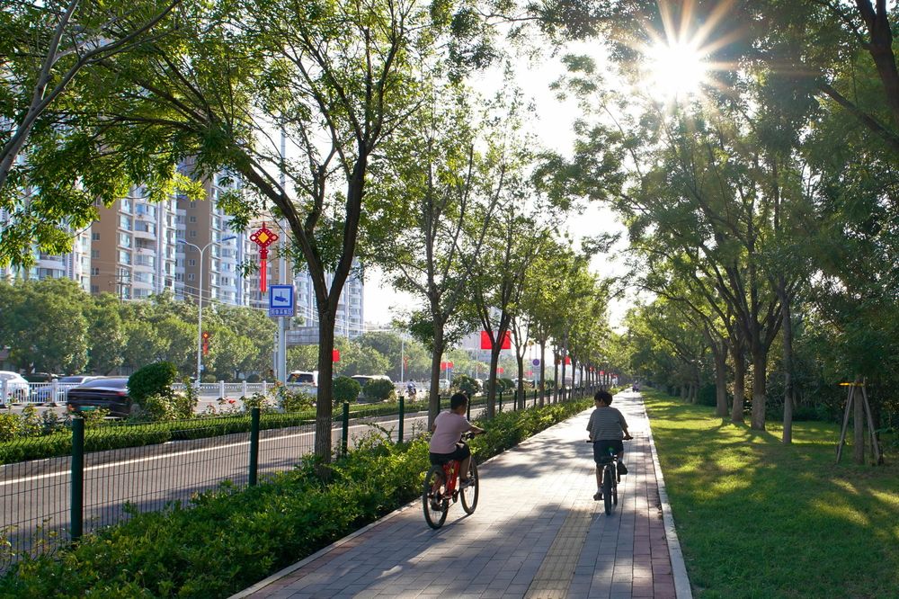 Photograph by Игорь Чижов