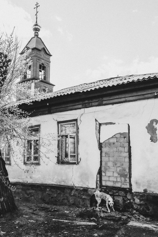 Photograph by Елена Зуйкова