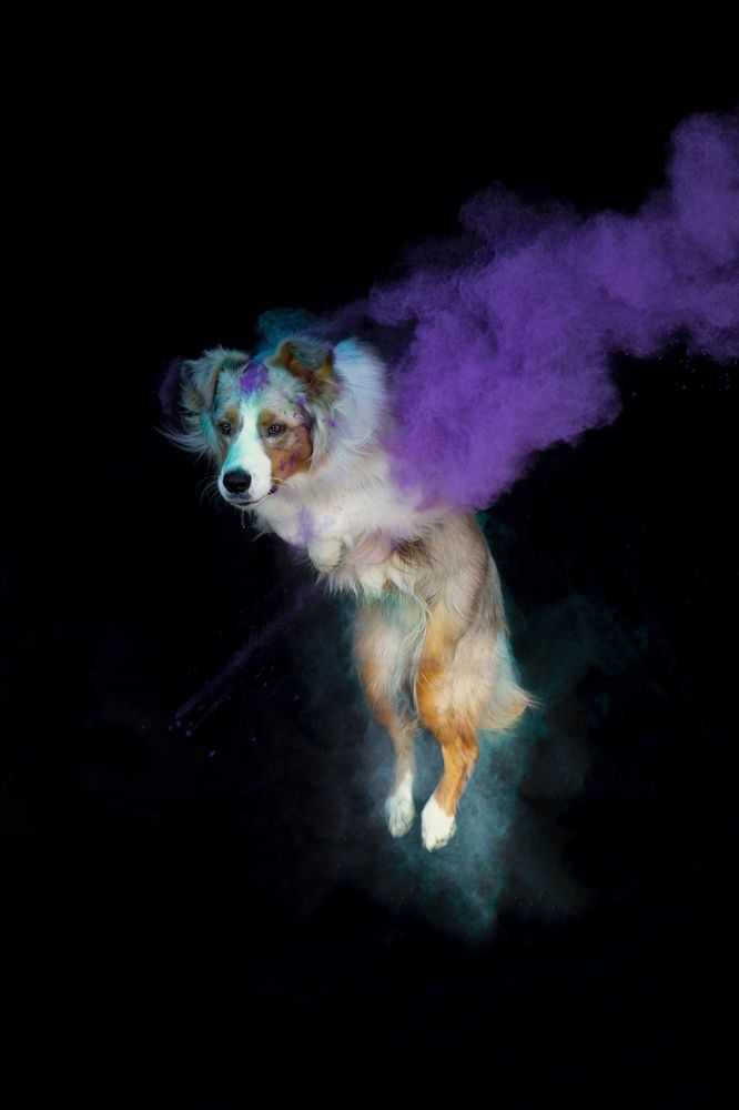 Фотография автора Полина Жаринова