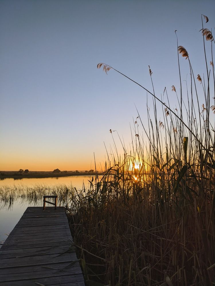 Photograph by Инесса Глухова