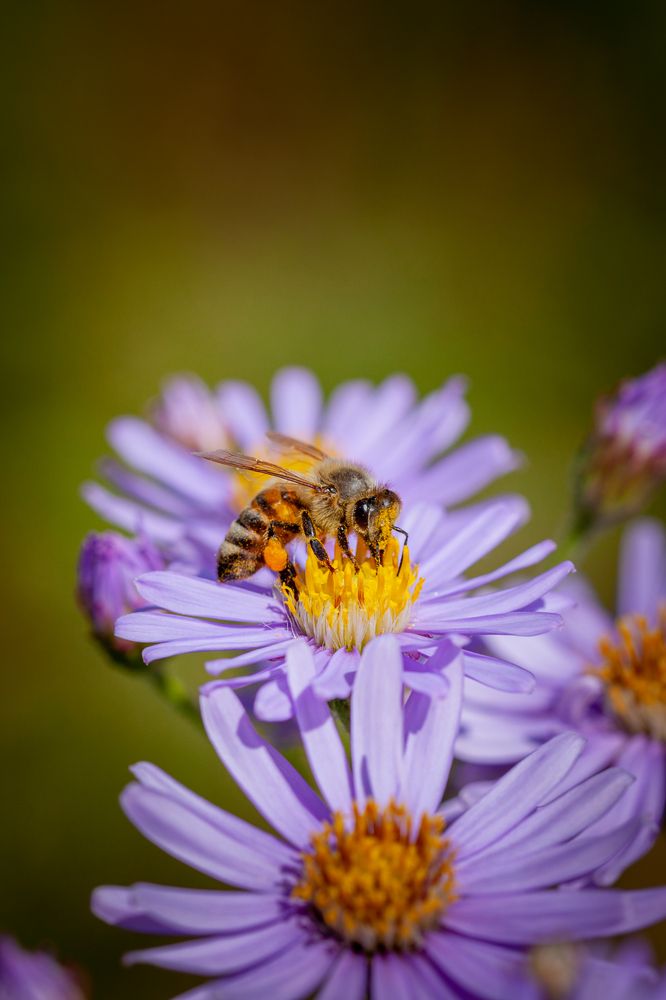 Photograph by Денис Дорошенко