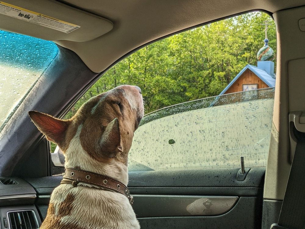 Photograph by Виталий Суслин