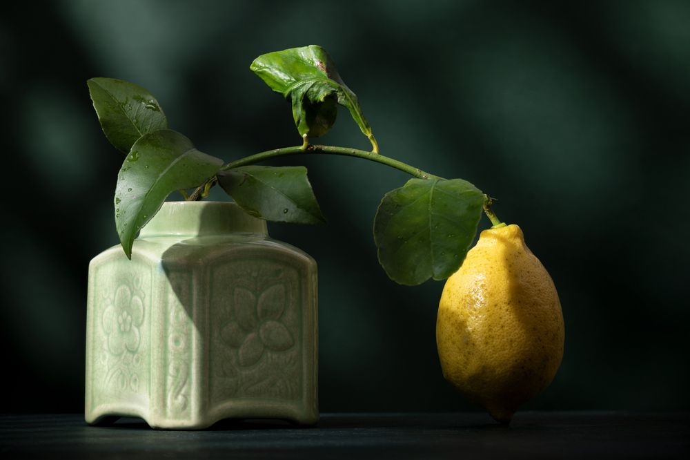 Фотография автора Anna Ilieva-Alikaj