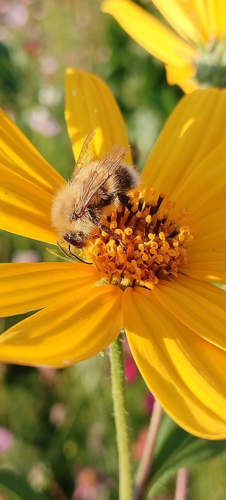Photograph by Наталья Спешилова