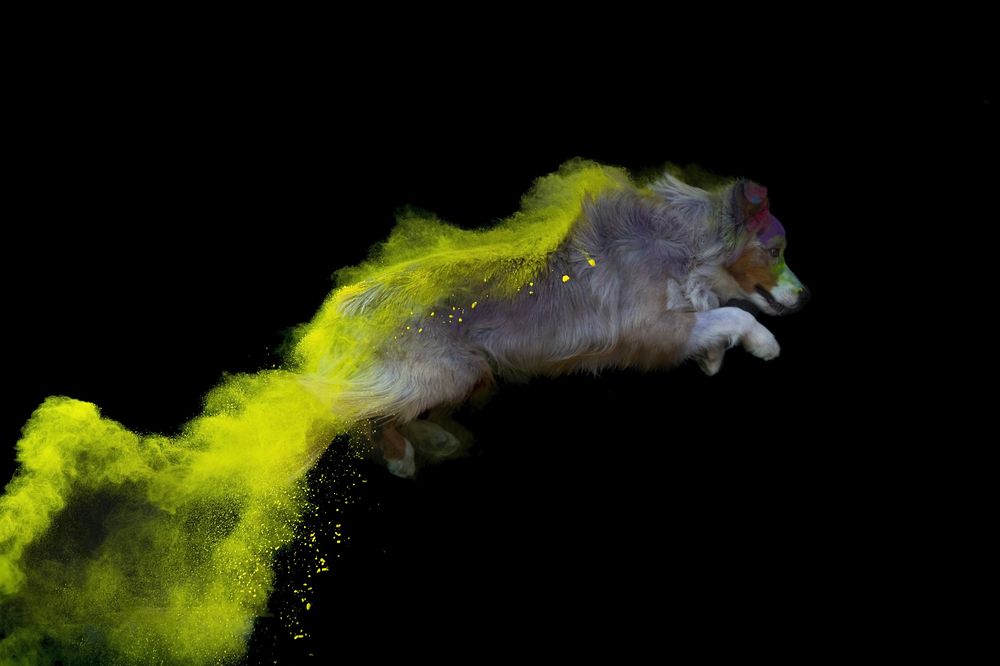 Фотография автора Полина Жаринова