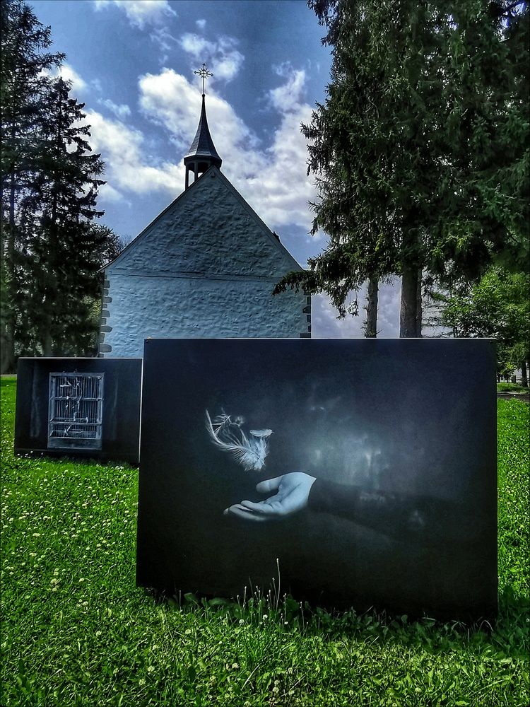 Photograph by Veremeyeva Marina