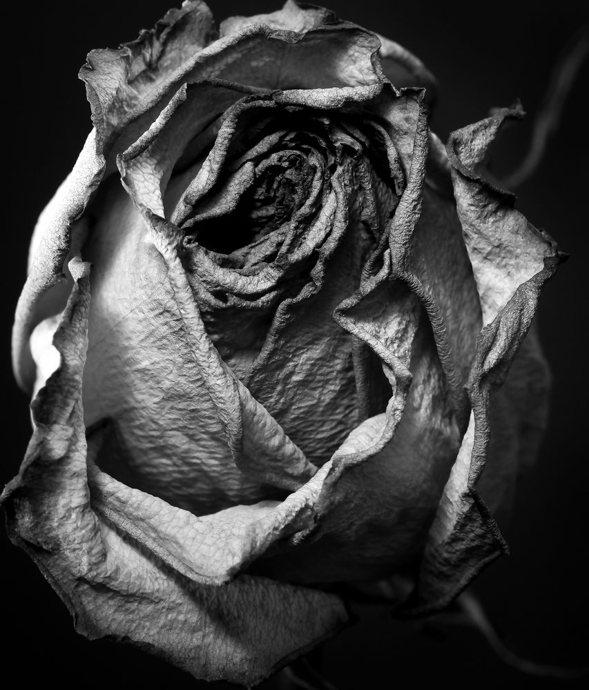 Photograph by LEONARDO LAYTON