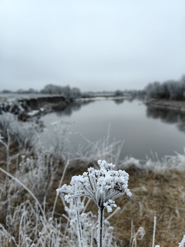 Photograph by Екатерина