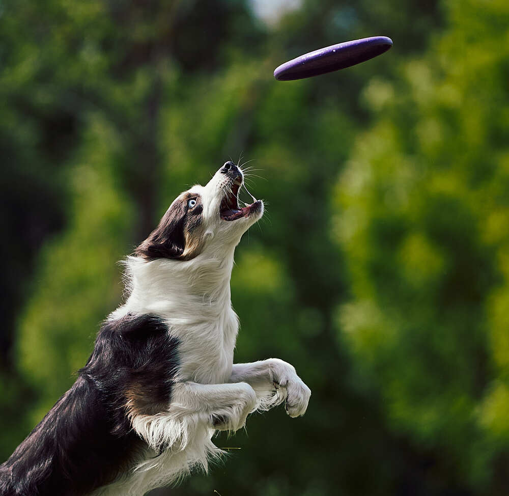 Photograph by Mikhail Khmelevskiy