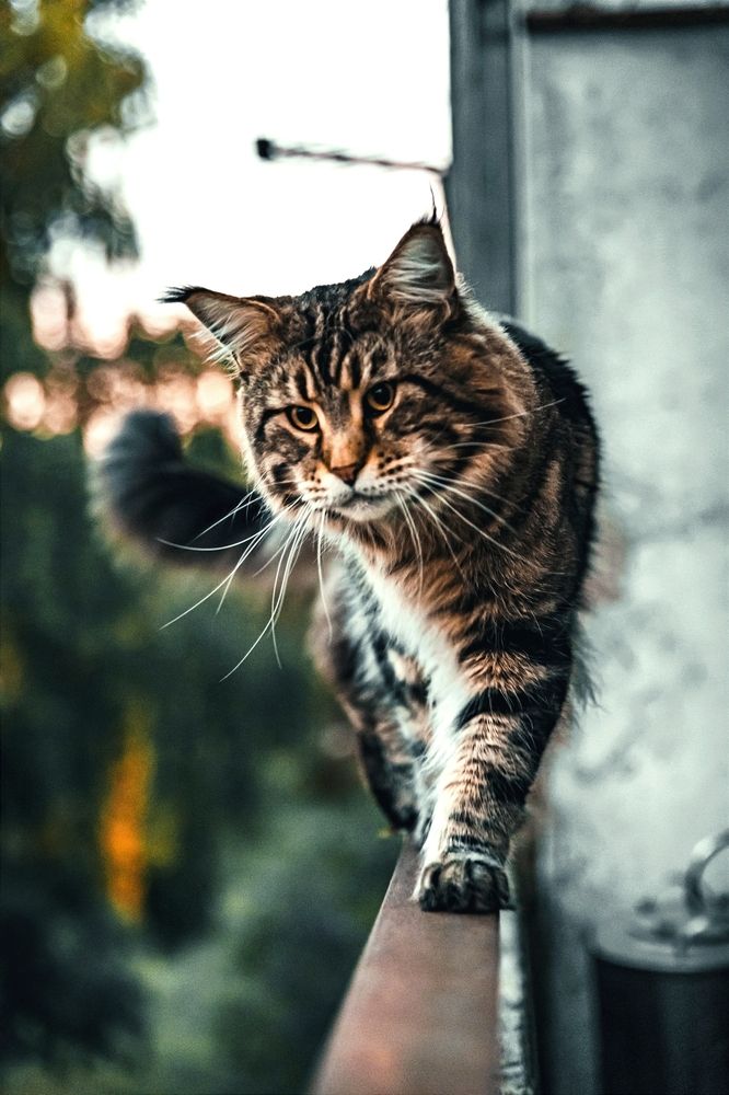 Охота на птиц которые задевают облака