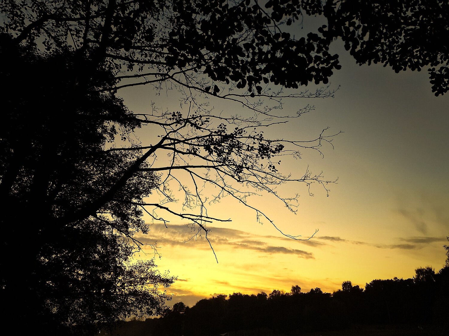 Photo #12031537