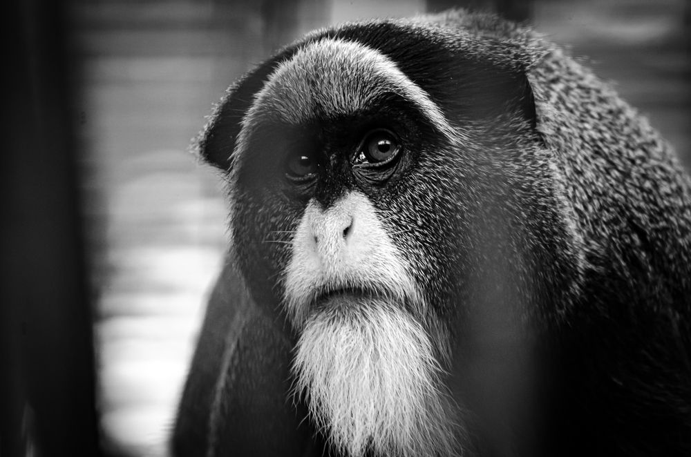 Photograph by Елена Берсенёва