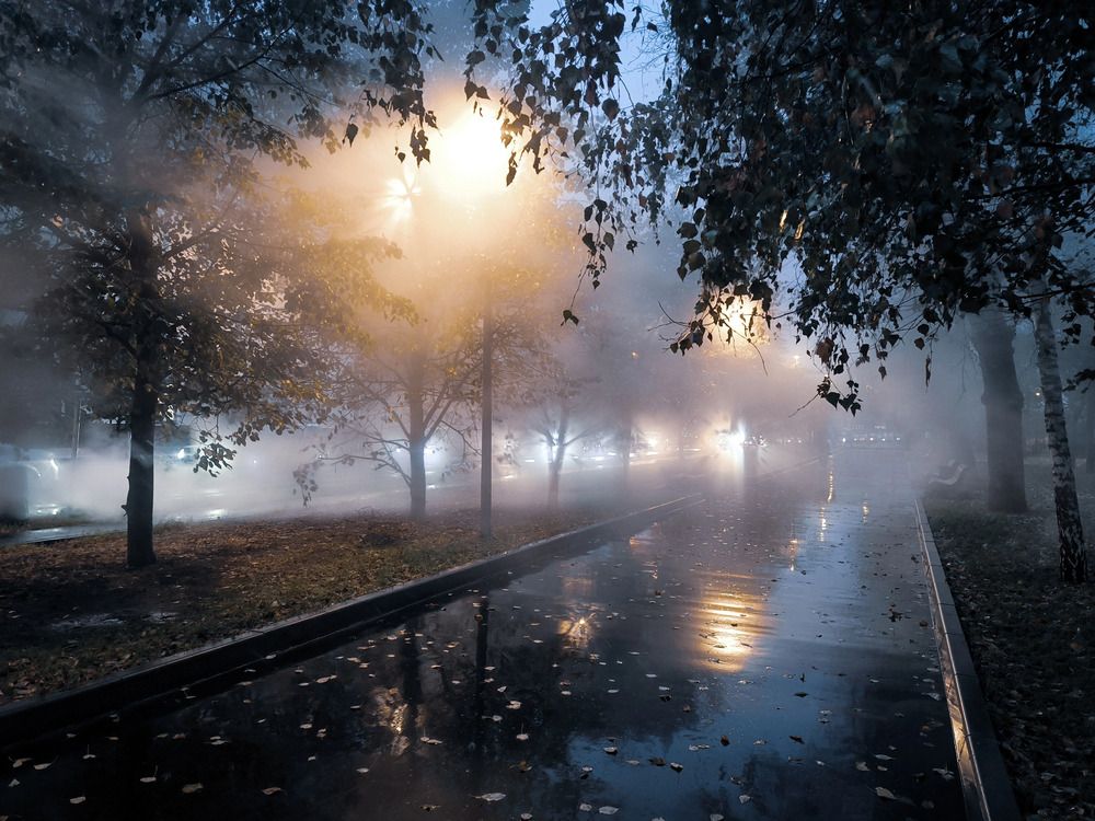 Photograph by Маргарита Смоленская