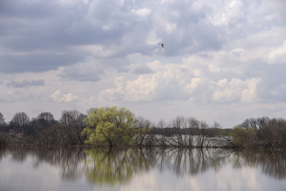 Photograph by Евгений