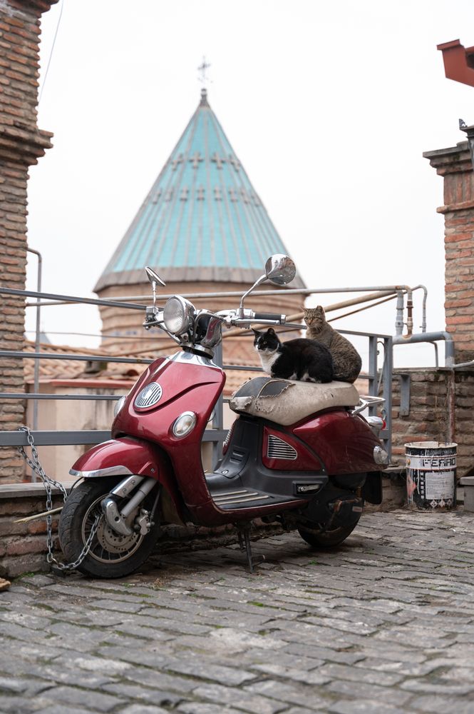 Photograph by Алексей Леднов