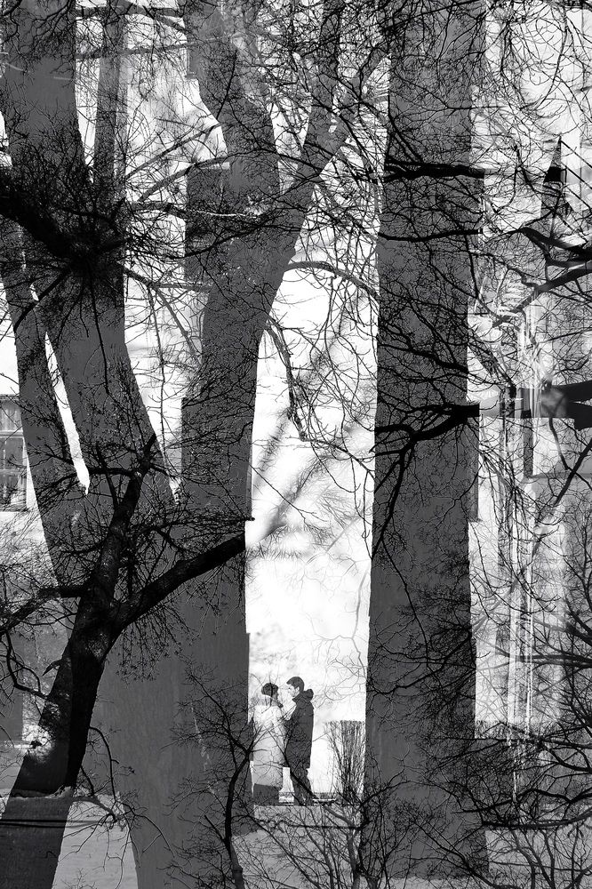 Хитросплетения судеб