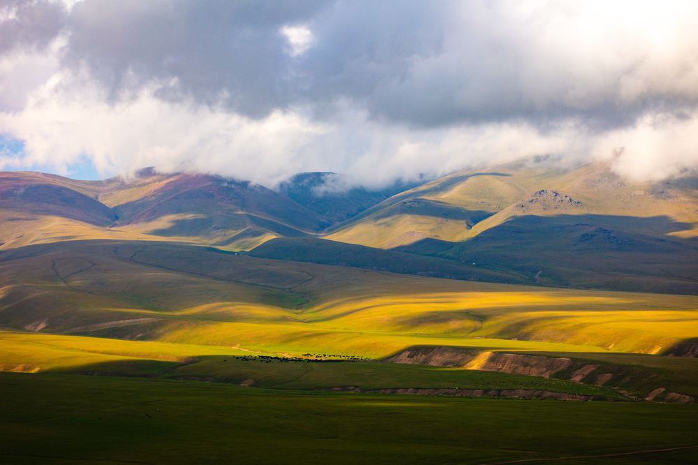 Photograph by Родионов Дмитрий