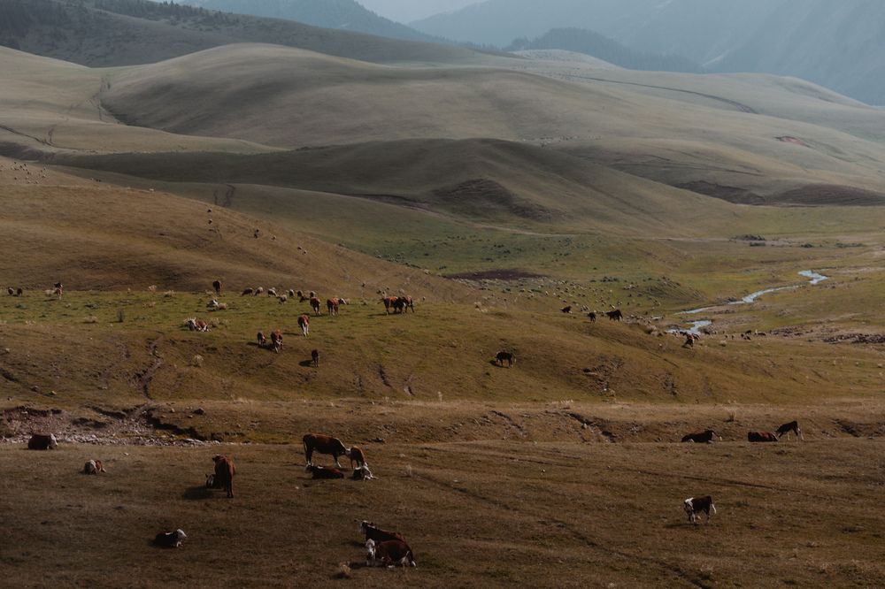 Photograph by Родионов Дмитрий