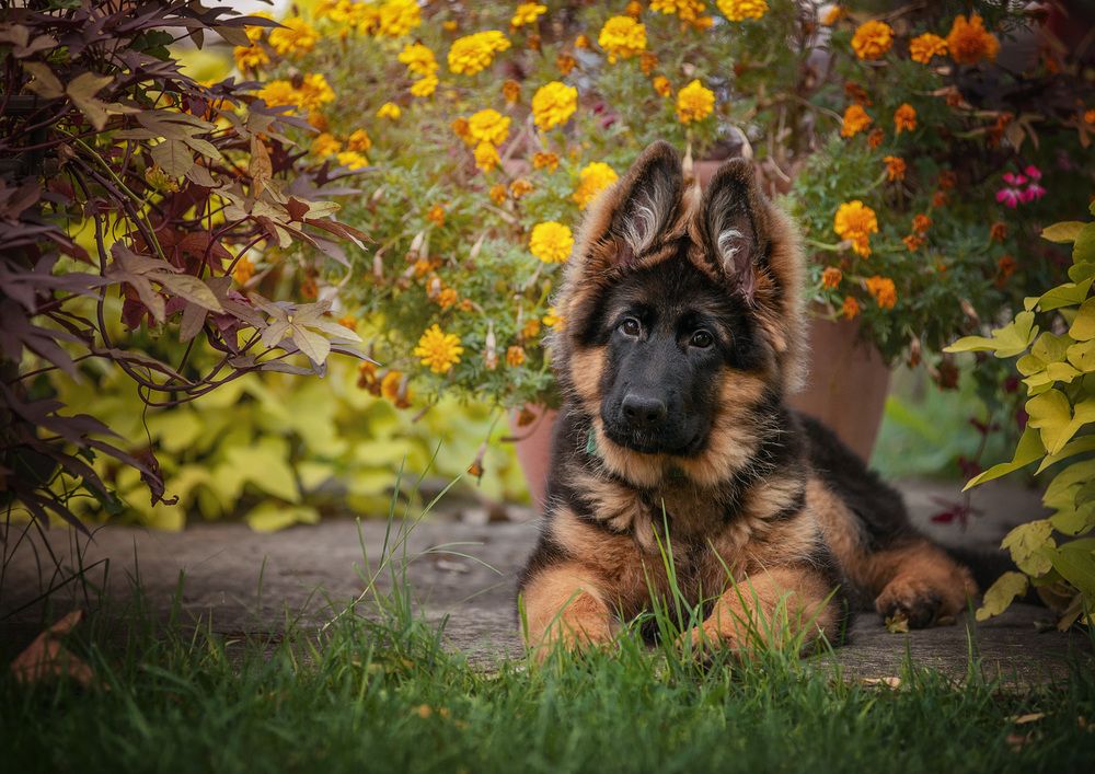 Photograph by Юлия Григорьева