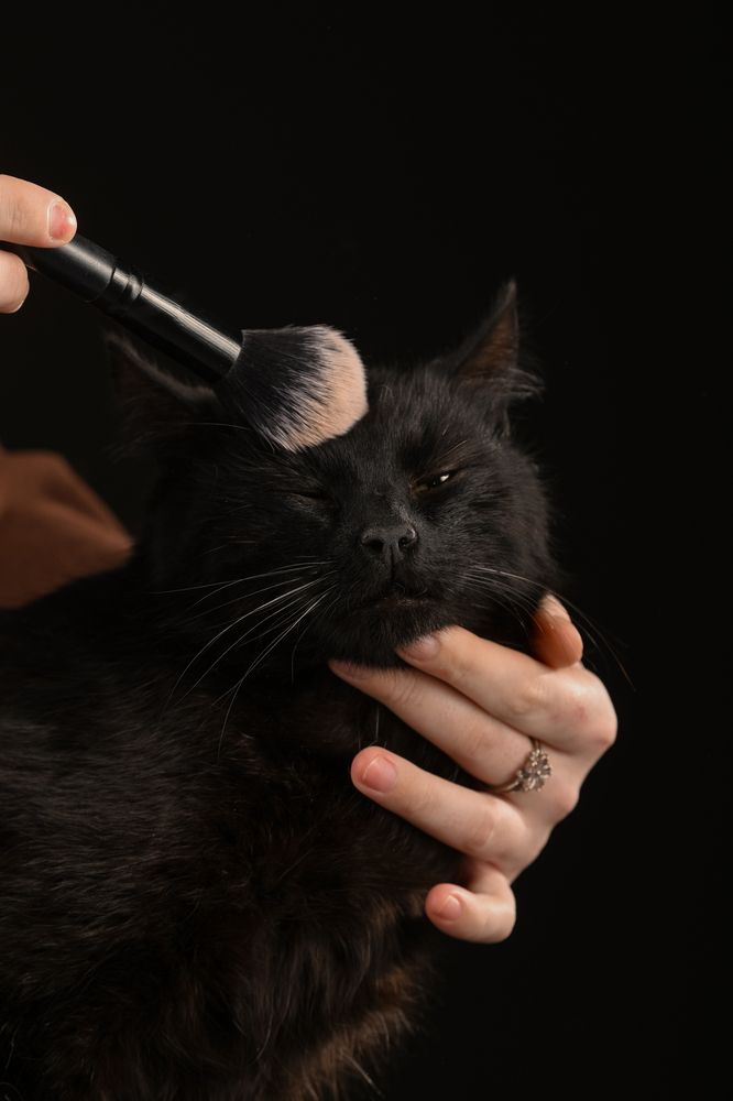 Фотография автора Алена Ковалёва