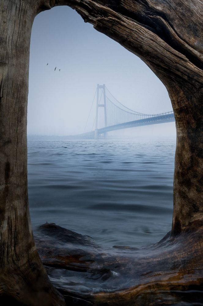 The grandeur of wooden decorative brides