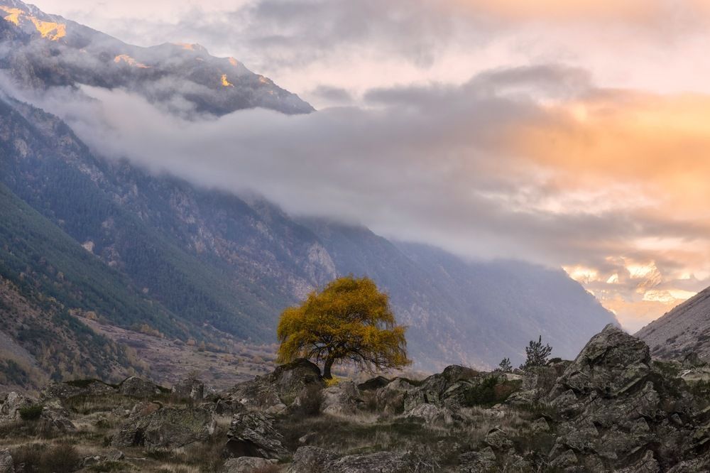 Photograph by Ирина Ульянова