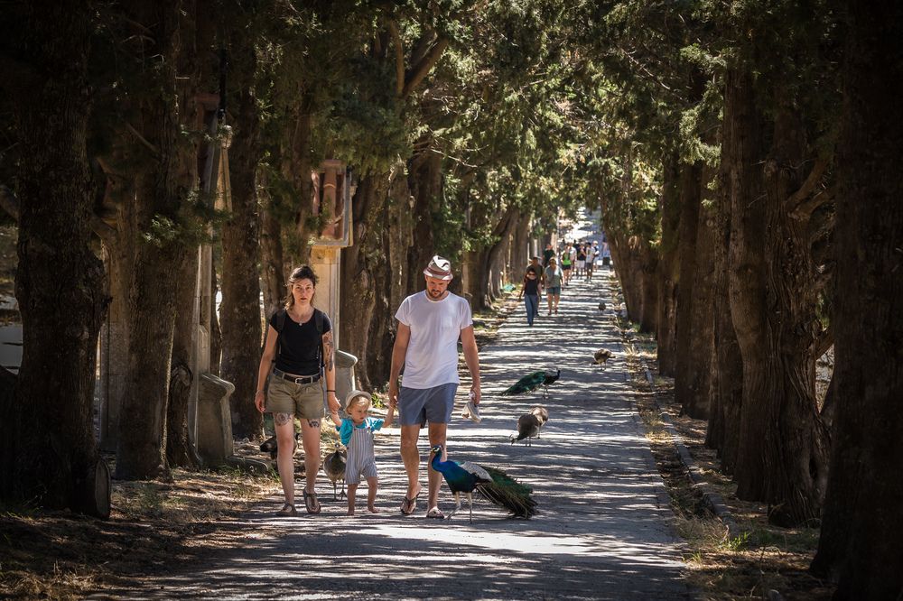 Photograph by Valdis Serzhans