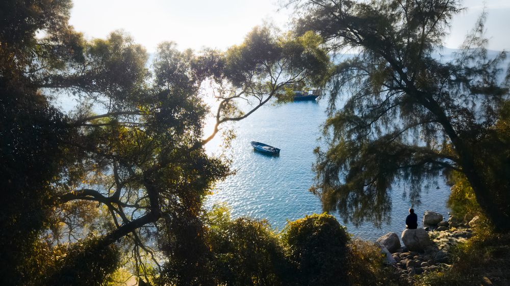 Photograph by Livy 颍川