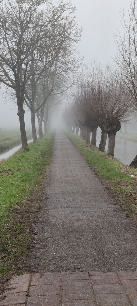 Photo #12031773
