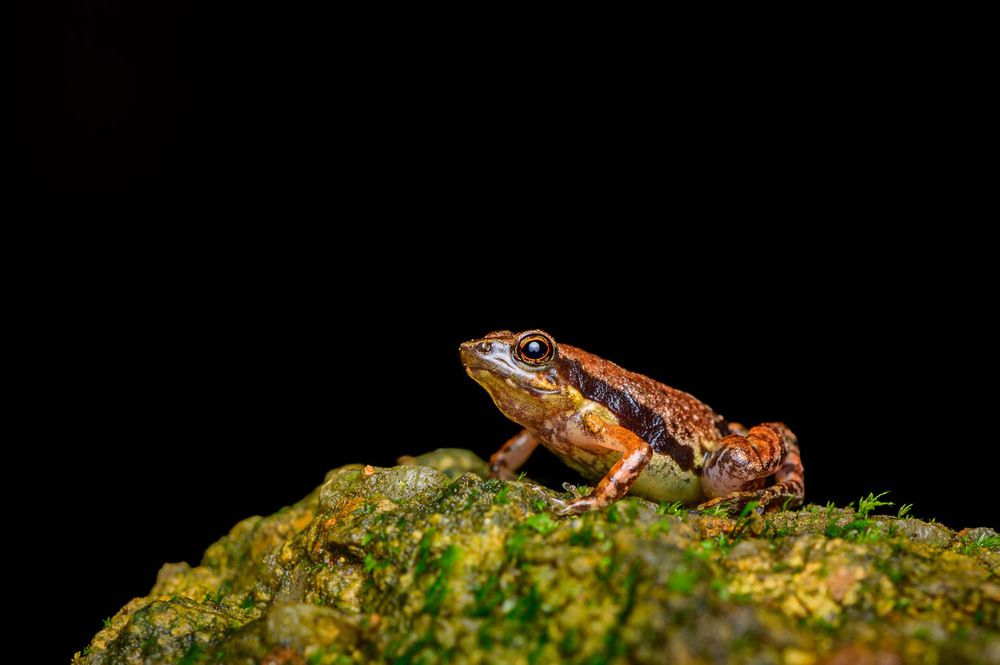 Фотография автора Hari Venkatesh