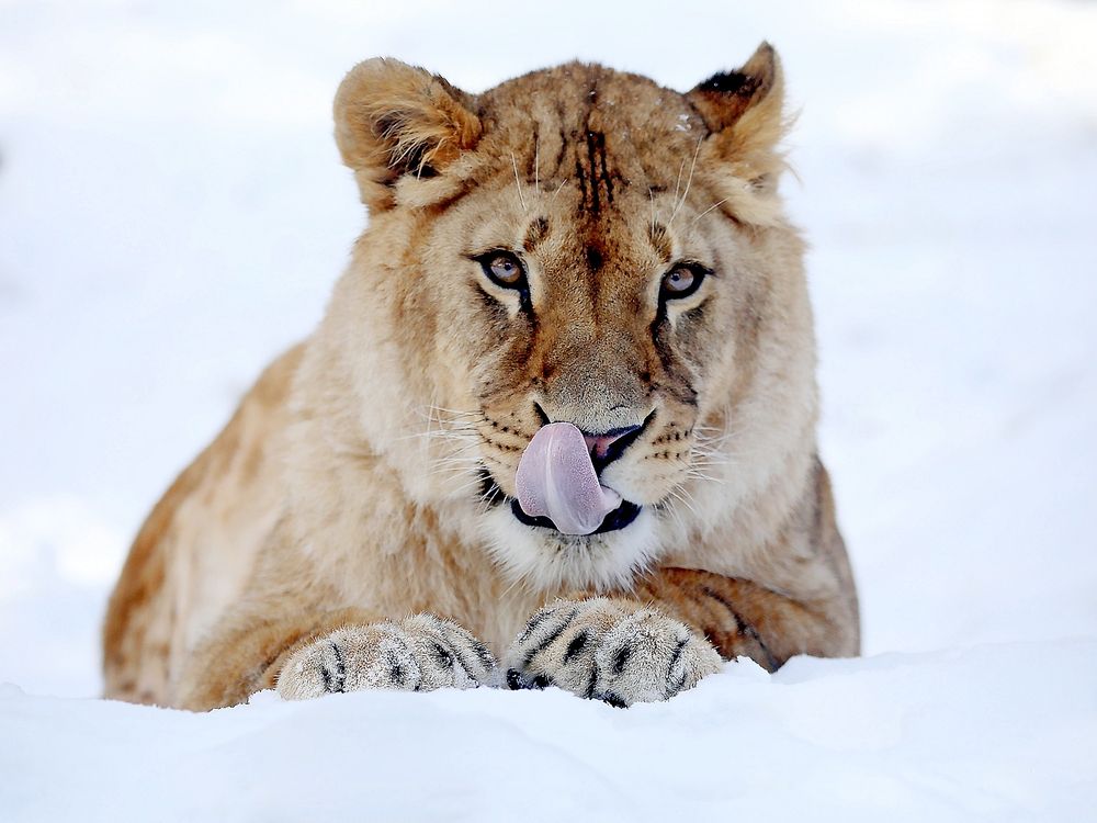 Photograph by Андрей Автухов